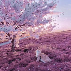 十二万九千六百年(Prod by BECU BEATZ)