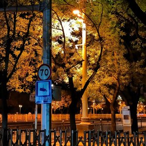 《第七年雨季》