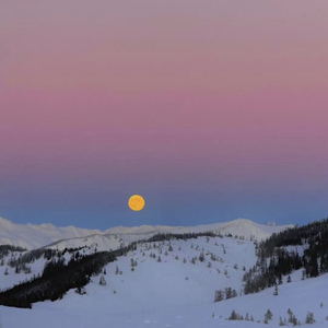 终点是你何必在意过程