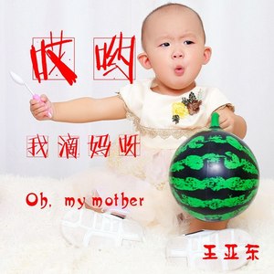 哎哟我滴妈呀 (DJ版)