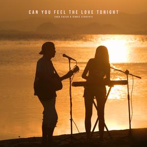 Can You Feel The Love Tonight