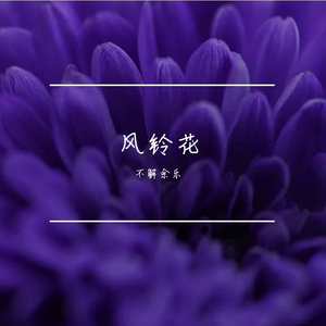 风铃花（Live版）