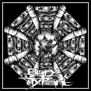 The Time Warp Arpeggios