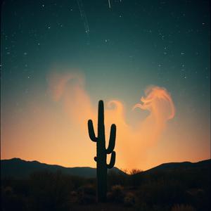 Catcus Sunset (joshua tree (❁´◡`❁)