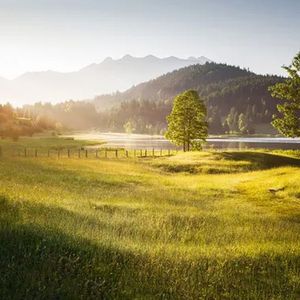 背影比山更倔强