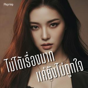 ไม่ได้เรื่องมากแค่ยังไม่ถูกใจ