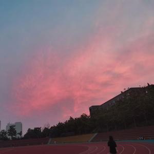 花鳥諷詠（然糊糊 cover 天月-あまつき-）