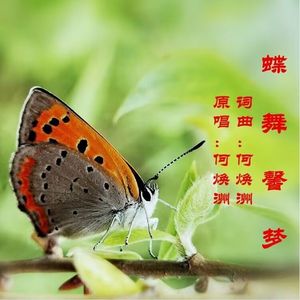 蝶舞馨梦(何焕洲原唱) 伴奏版