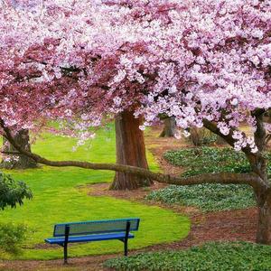 很难下决定去完成