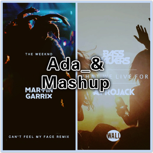 What We Live For Can't Feel My Face (Ada_& Mashup)