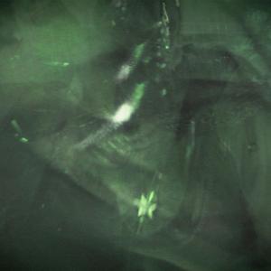 להיות או לא להיות