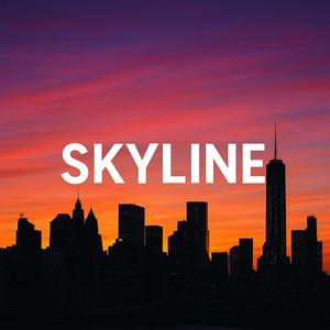 skyline OM