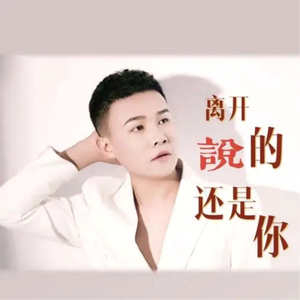 说离开的还是你