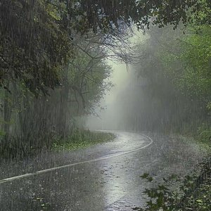 Vuelves cuando llueve