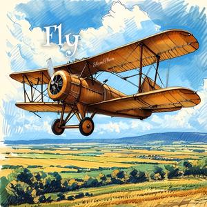 Fly
