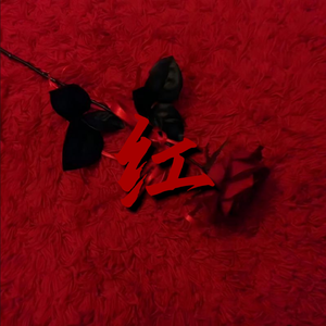 红（4U）
