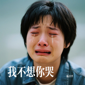 我不想你哭