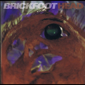 12 O'clock High Zebra