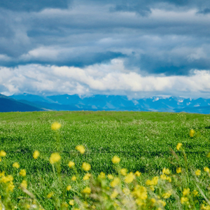 봄은 짙어져 가고