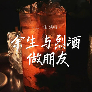 余生与烈酒做朋友 (伴奏)