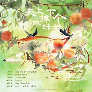 天上掉下个林妹妹