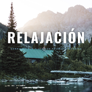 Música Relajante De Río