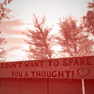 I Don't Want to Spare You a Thought!