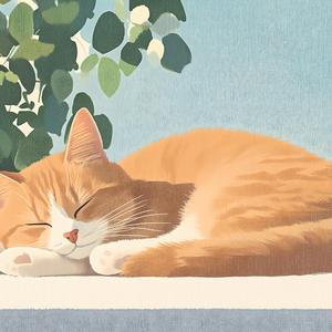 햇살이 창문을 슬며시 두드려