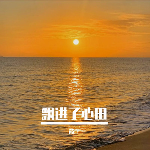 飘进了心田 伴奏