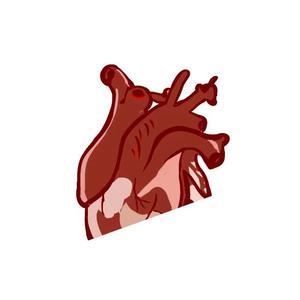 不完美Prod.by Ljx Ghost