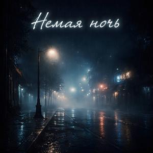 Немая ночь