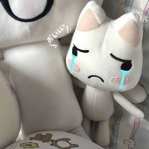 哎爱小猫