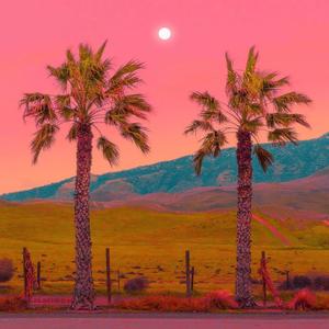 二次世界2021 2.9 160 no