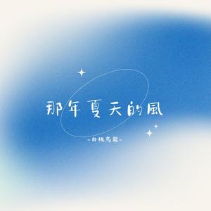 那年夏天的風