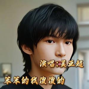 笨笨的我傻傻的活