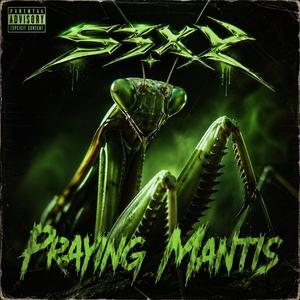Praying Mantis
