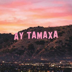 ay tamaxa (塔玛夏)