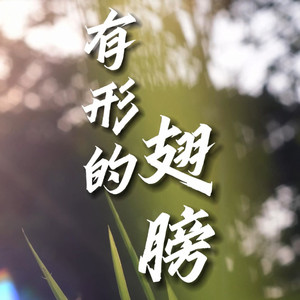 有形的翅膀 (童声版)