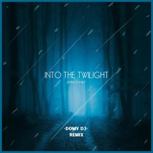 Into The Twilight (Domy DJ Remix)