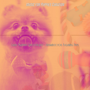 Laid-back Music for Lonely Puppies