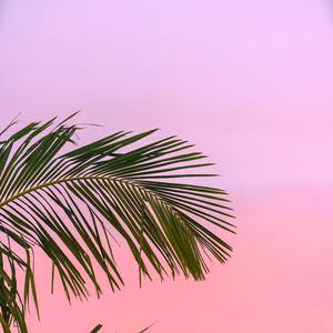 仲夏夜之梦（prod by ross gossage）