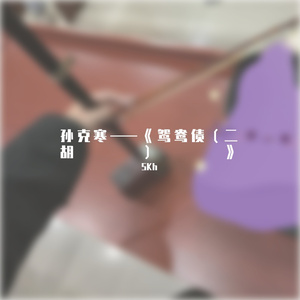 鸳鸯债（二胡）