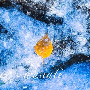 F r o z e n ( Flame )