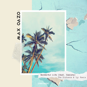 Wonderful Life (The Distance & Igi Remix)