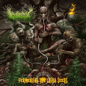 Let the Good Times Roll