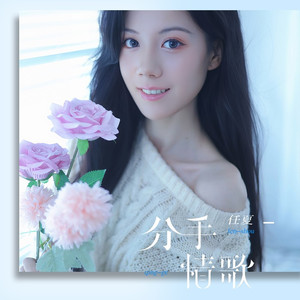 分手情歌