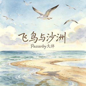 飞鸟与沙洲