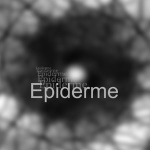 Epiderme