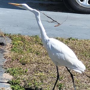 A FUTURE WITH ZERO SICKNESS