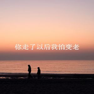 你走了以后我怕变老